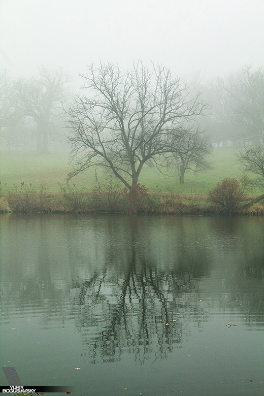 Arboretum